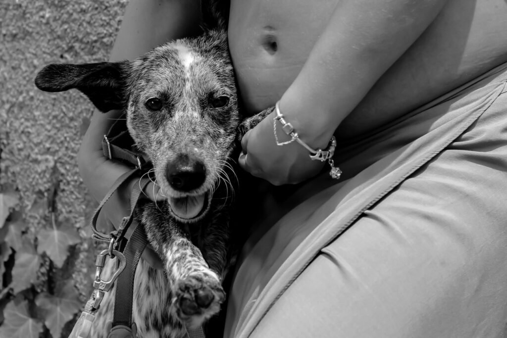 Ensaio pet com gestante segurando seu cachorro