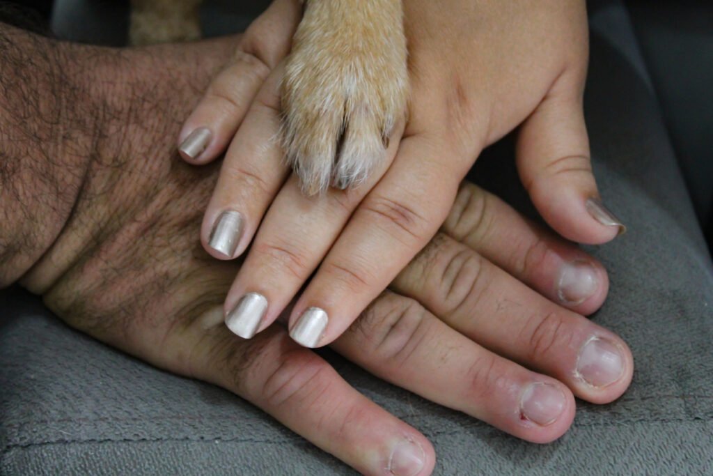 Ensaio pet com as mãos do donos em cima da outra e a patinha da cachorra em cima das duas